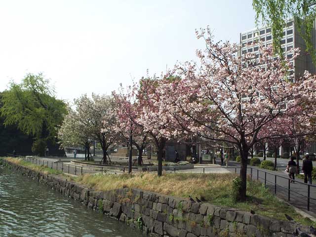 Tokyo_April_2001_Pic03